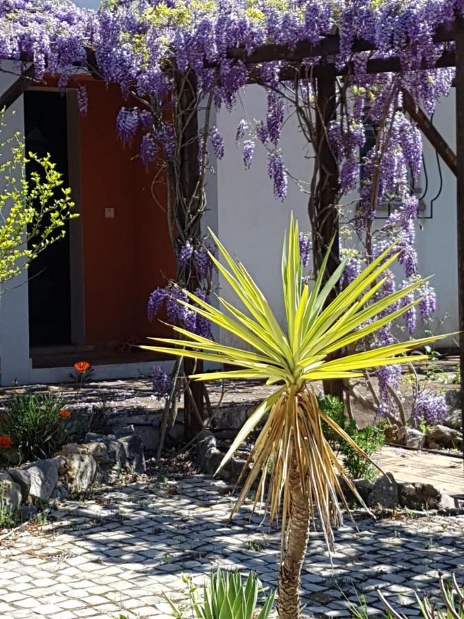 Bed and Breakfast Casa Oliviera Moncarapacho Exterior foto